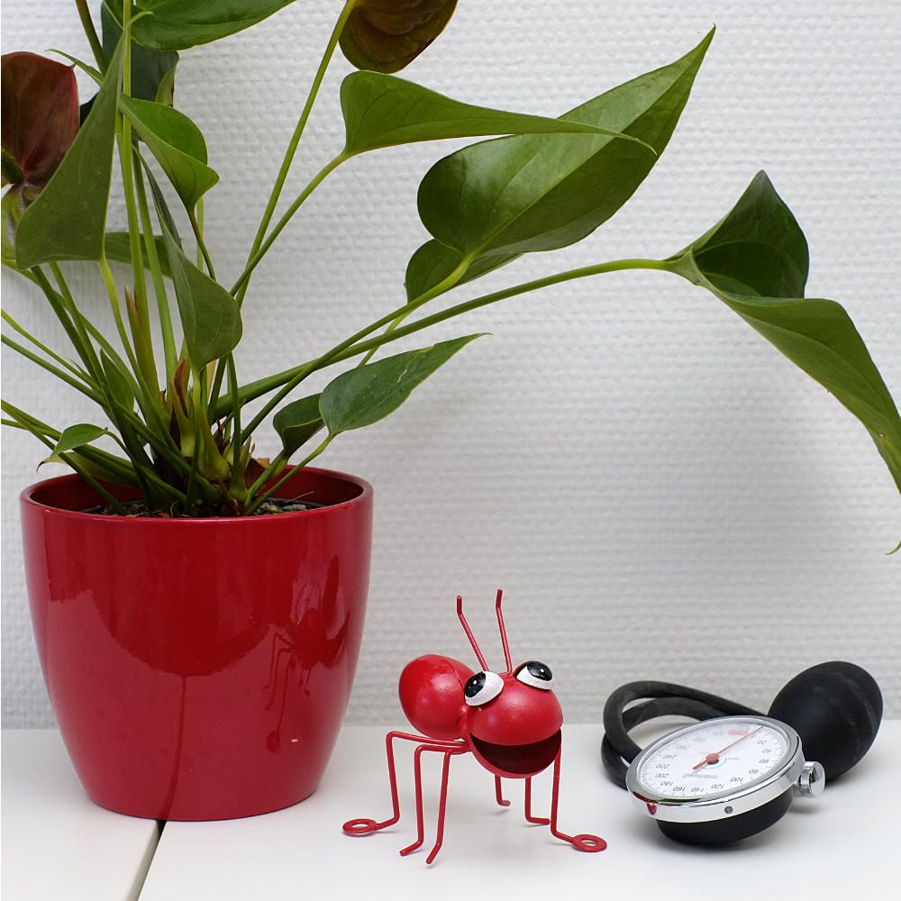 Internistische Hausarztpraxis Ines Kramer 